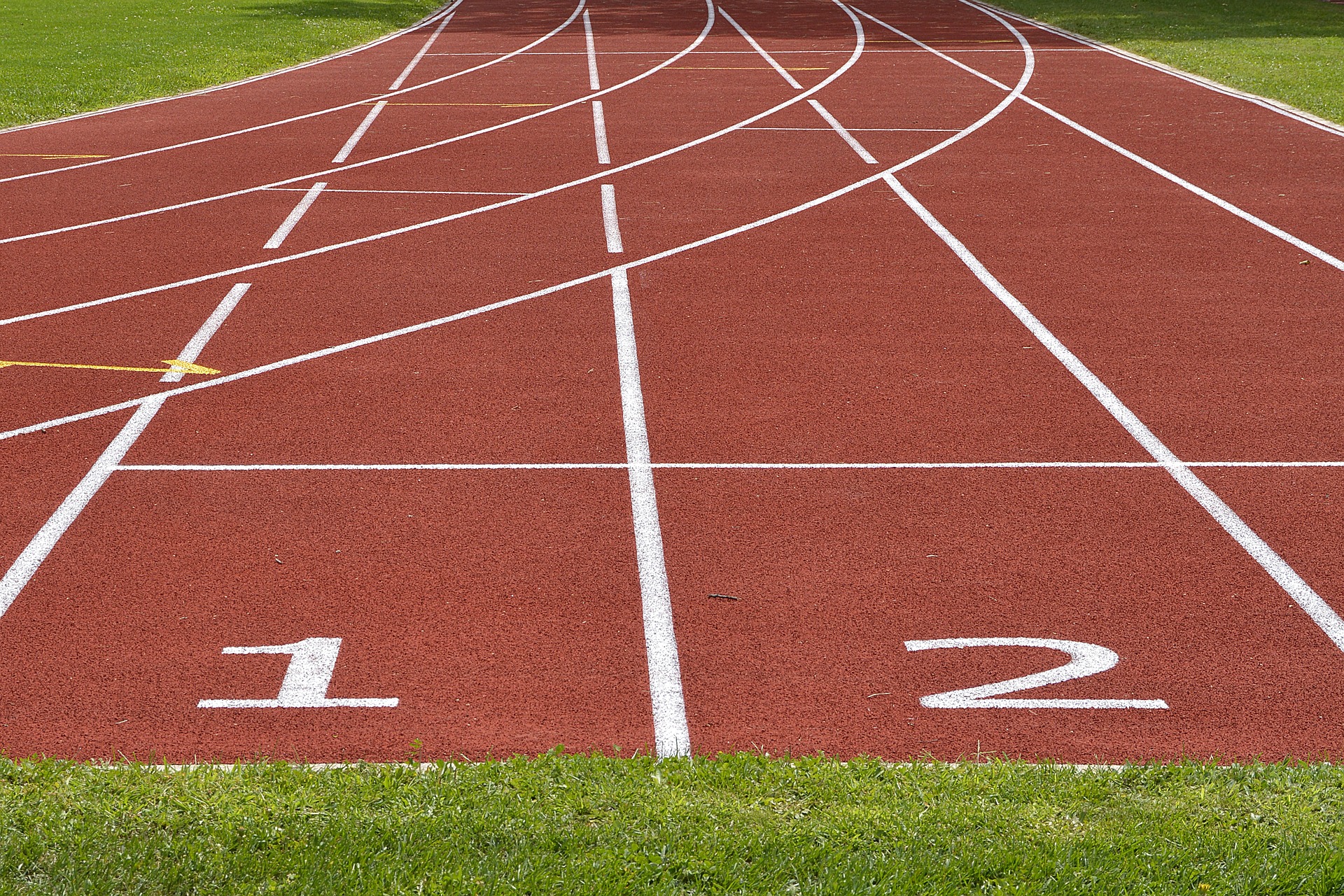 dafne schippers vermogen