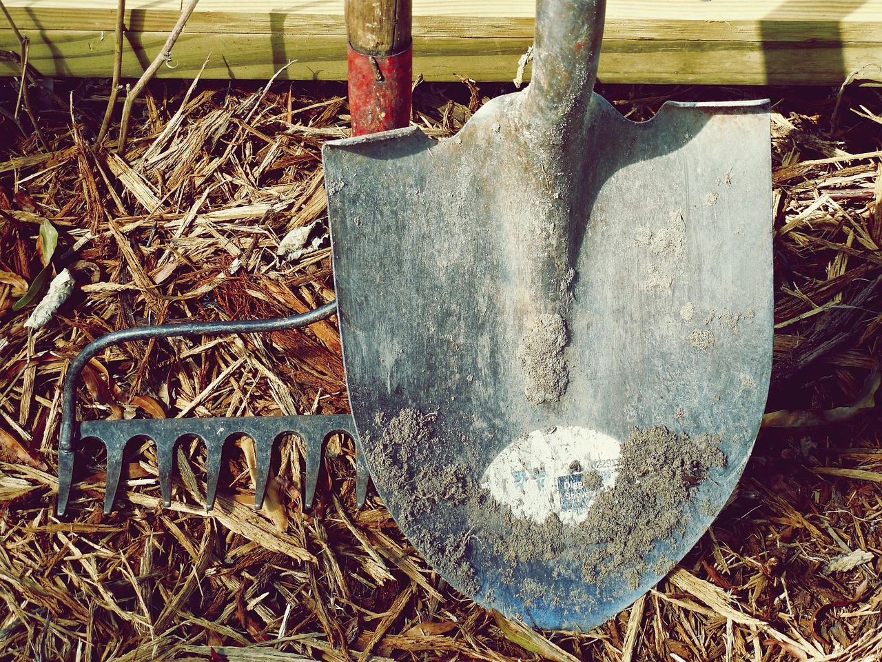 Leadgeneratie tools vergeleken: welk platform levert de meeste kwalitatieve leads op
